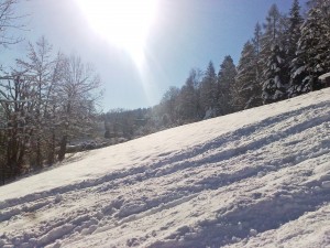 Schnee_3